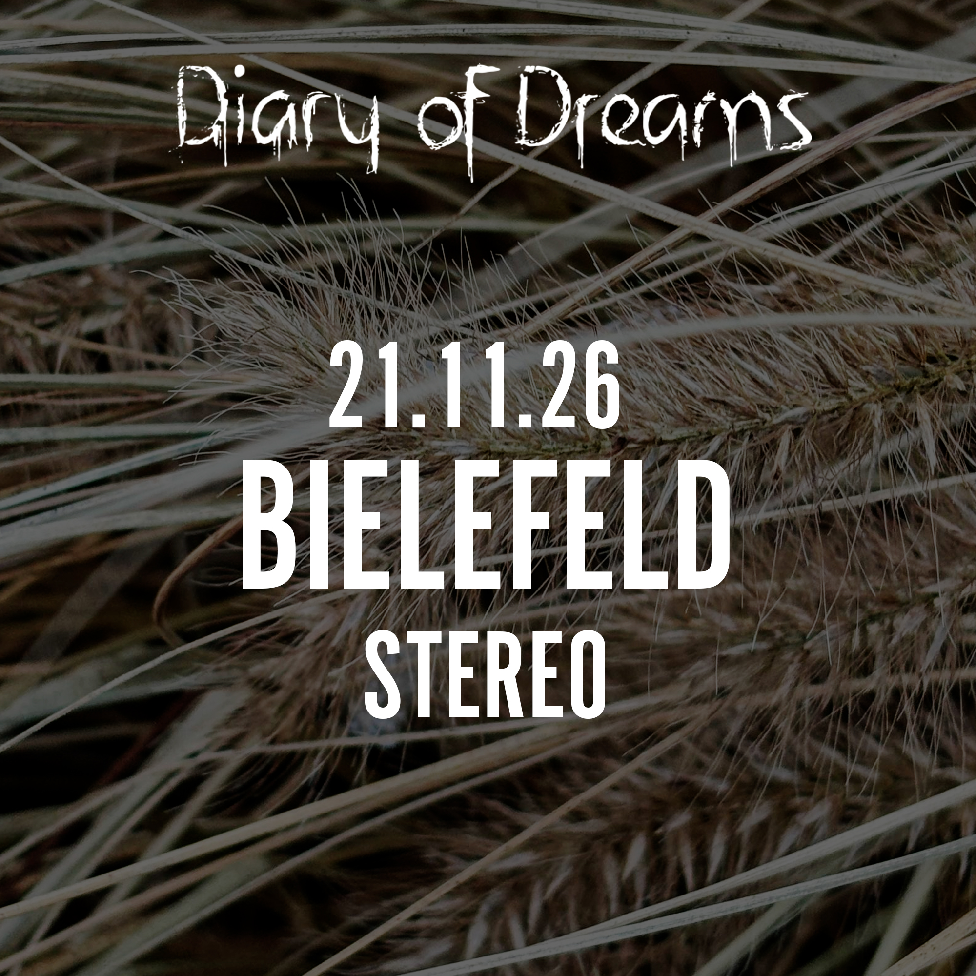 21.11.2026 Diary of Dreams - Bielefeld, Stereo
