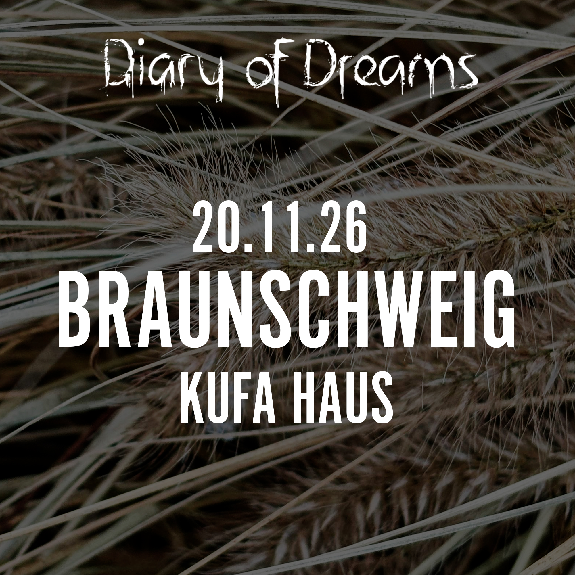 20.11.2026 Diary of Dreams - Braunschweig, KuFa Haus