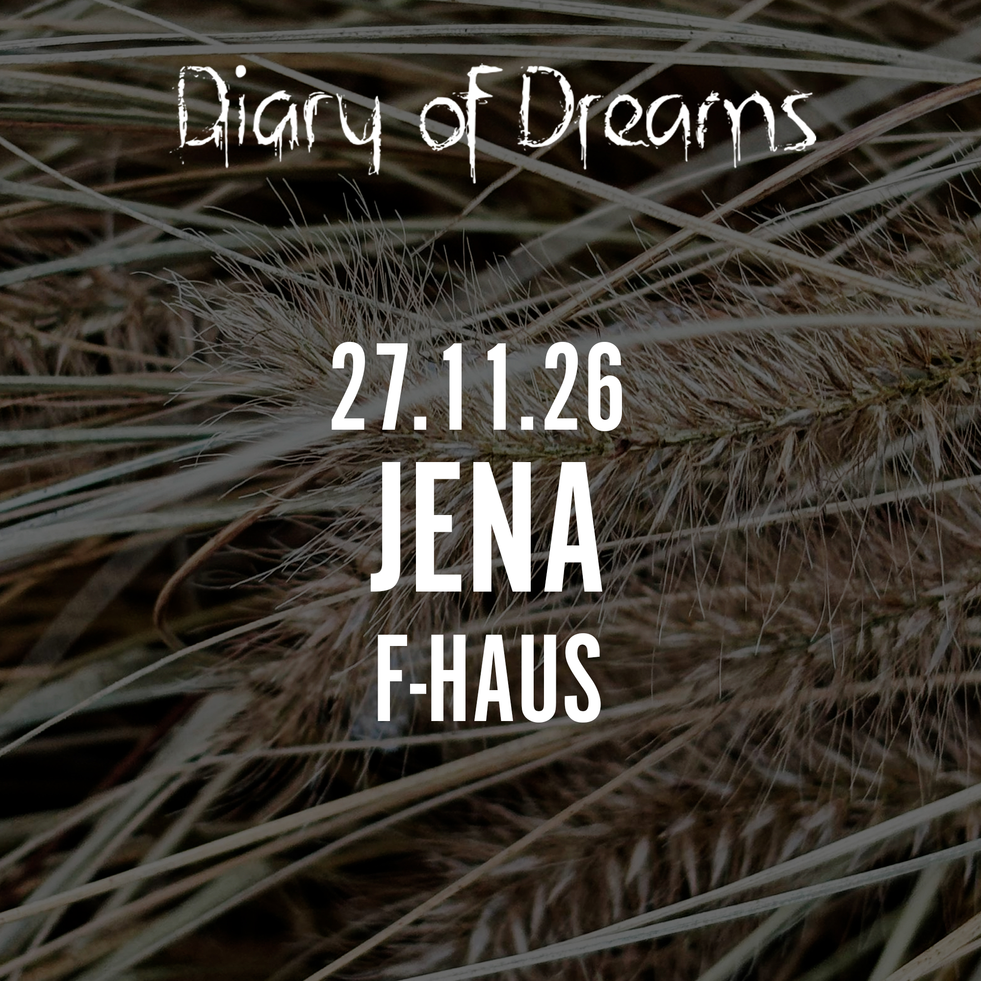 27.11.2026 Diary of Dreams - Jena, F-Haus