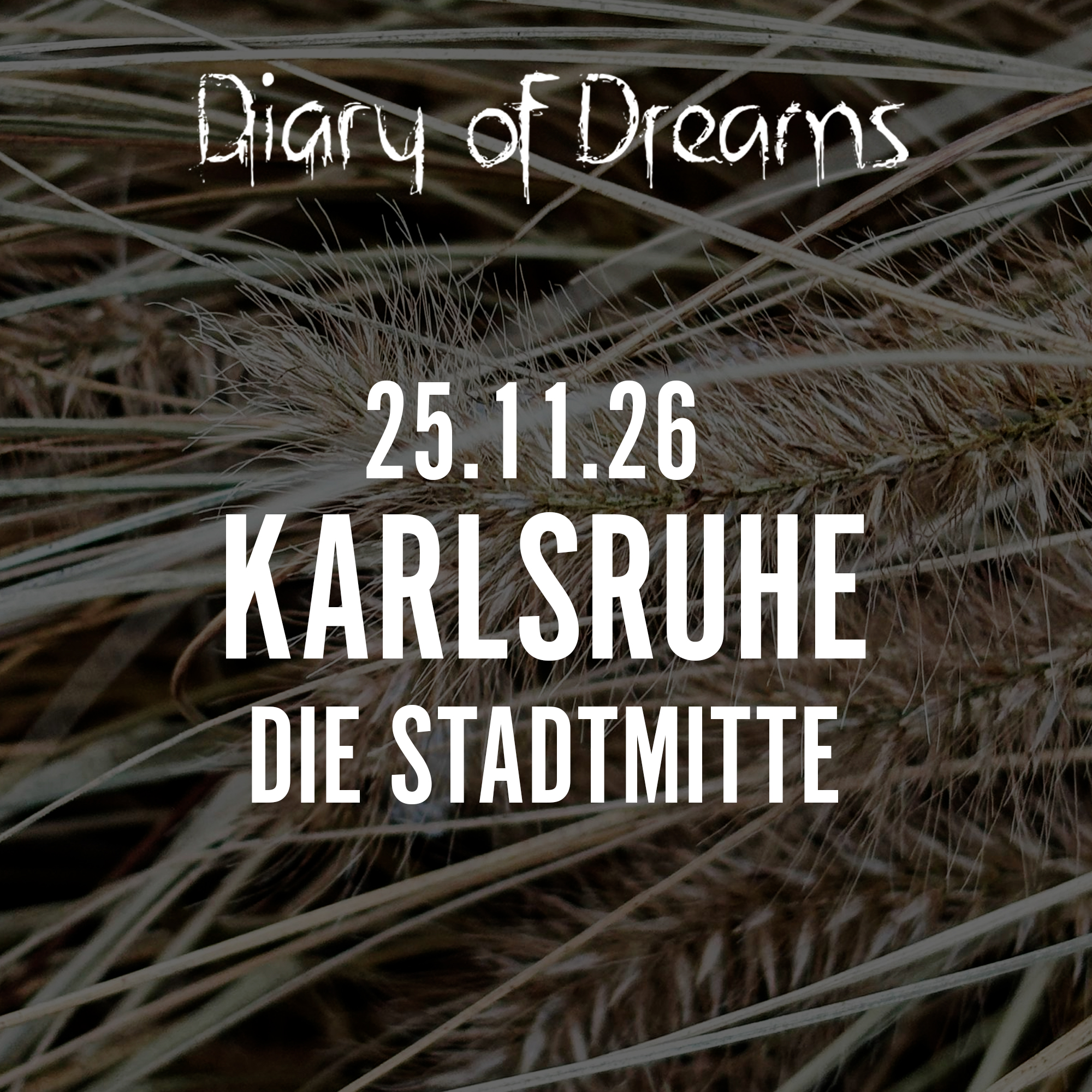 25.11.2026 Diary of Dreams - Karlsruhe, Die Stadtmitte