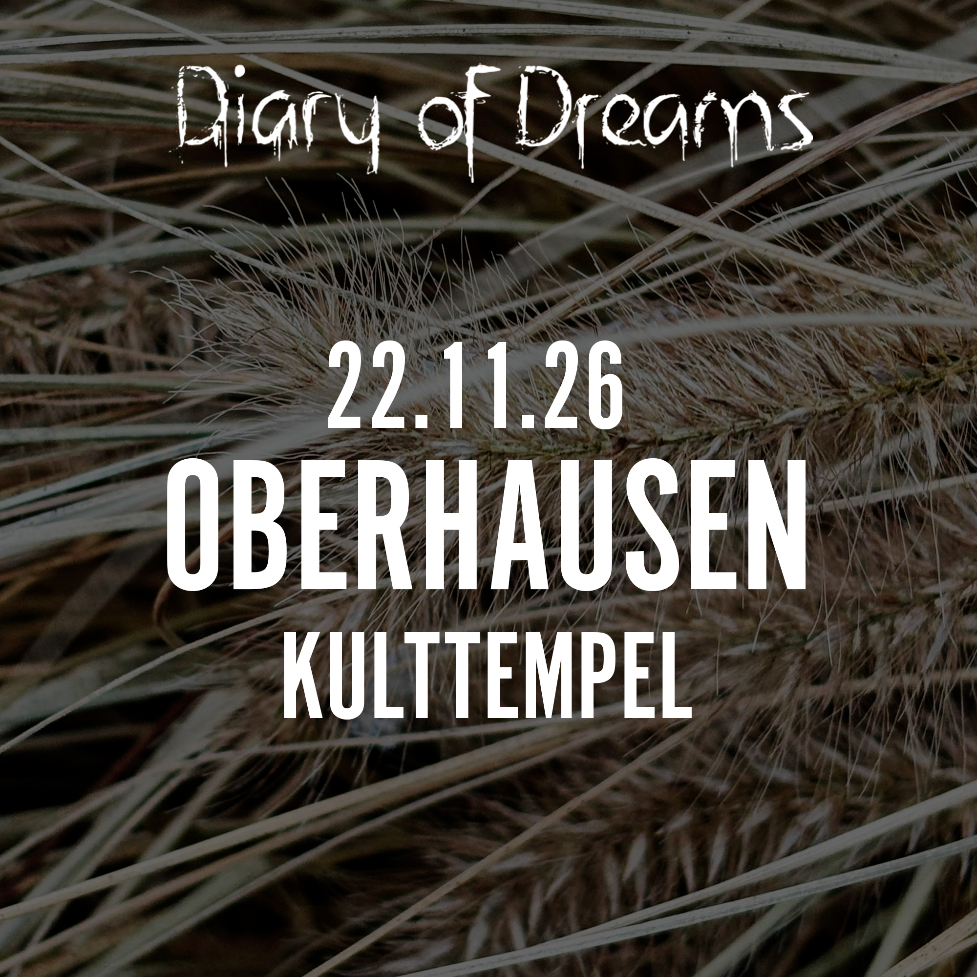 22.11.2026 Diary of Dreams - Oberhausen, Kulttempel