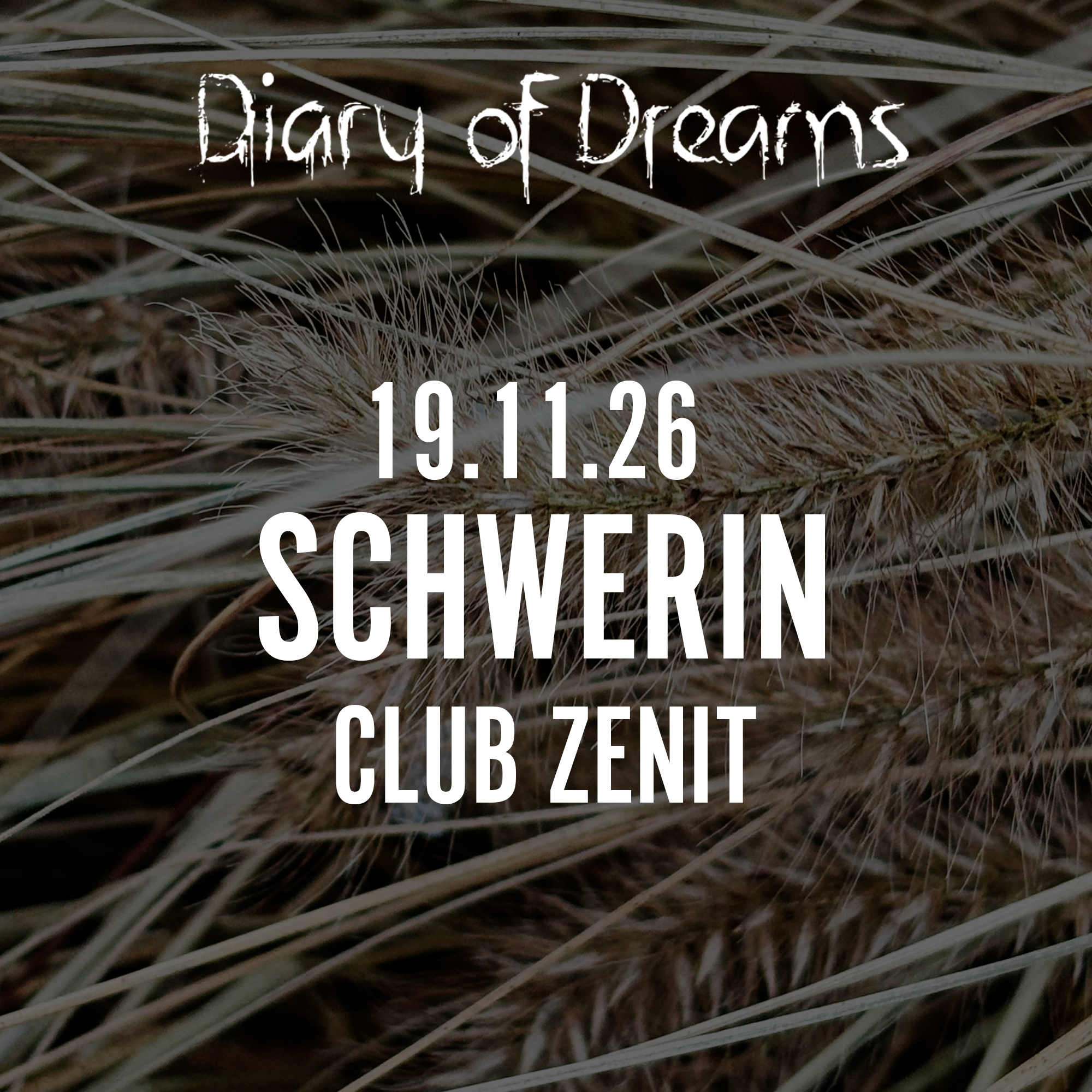 19.11.2026 Diary of Dreams - Schwerin, Club Zenit