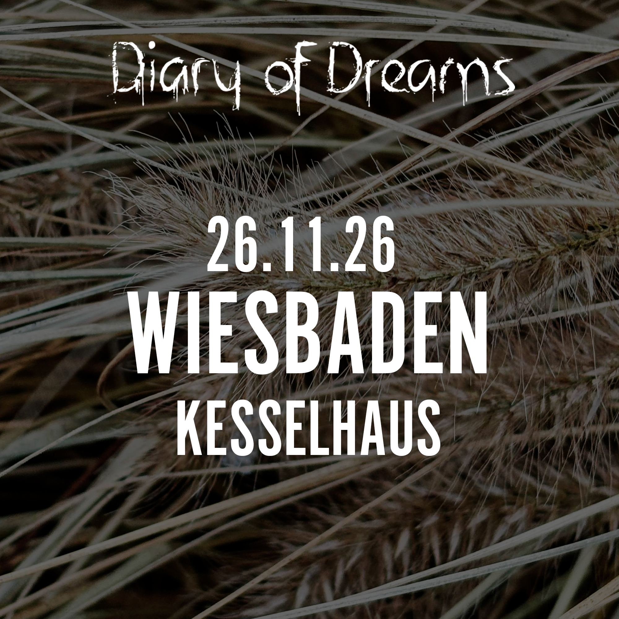 26.11.2026 Diary of Dreams - Wiesbaden, Kesselhaus